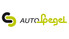 Logo Auto-Spegel
